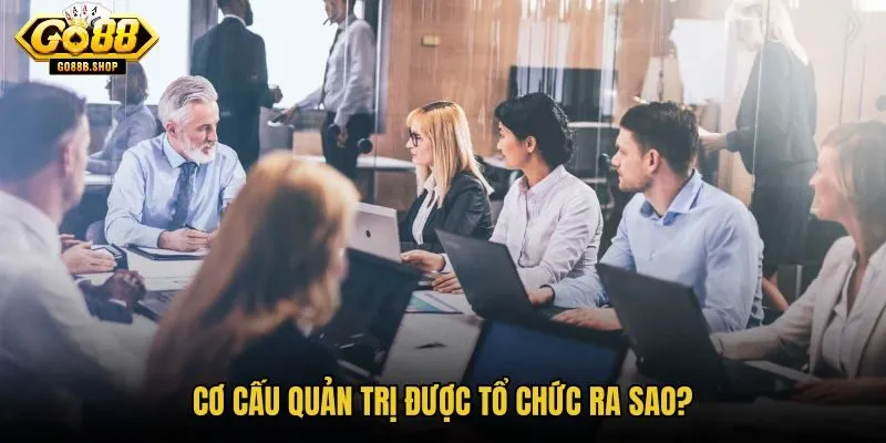 co-cau-quan-tri-duoc-to-chuc-ra-sao co-cau-quan-tri-duoc-to-chuc-ra-sao