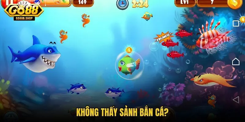 khong-thay-sanh-ban-ca khong-thay-sanh-ban-ca