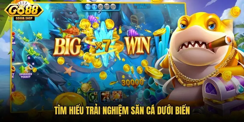 tim-hieu-trai-nghiem-san-ca-duoi-bien